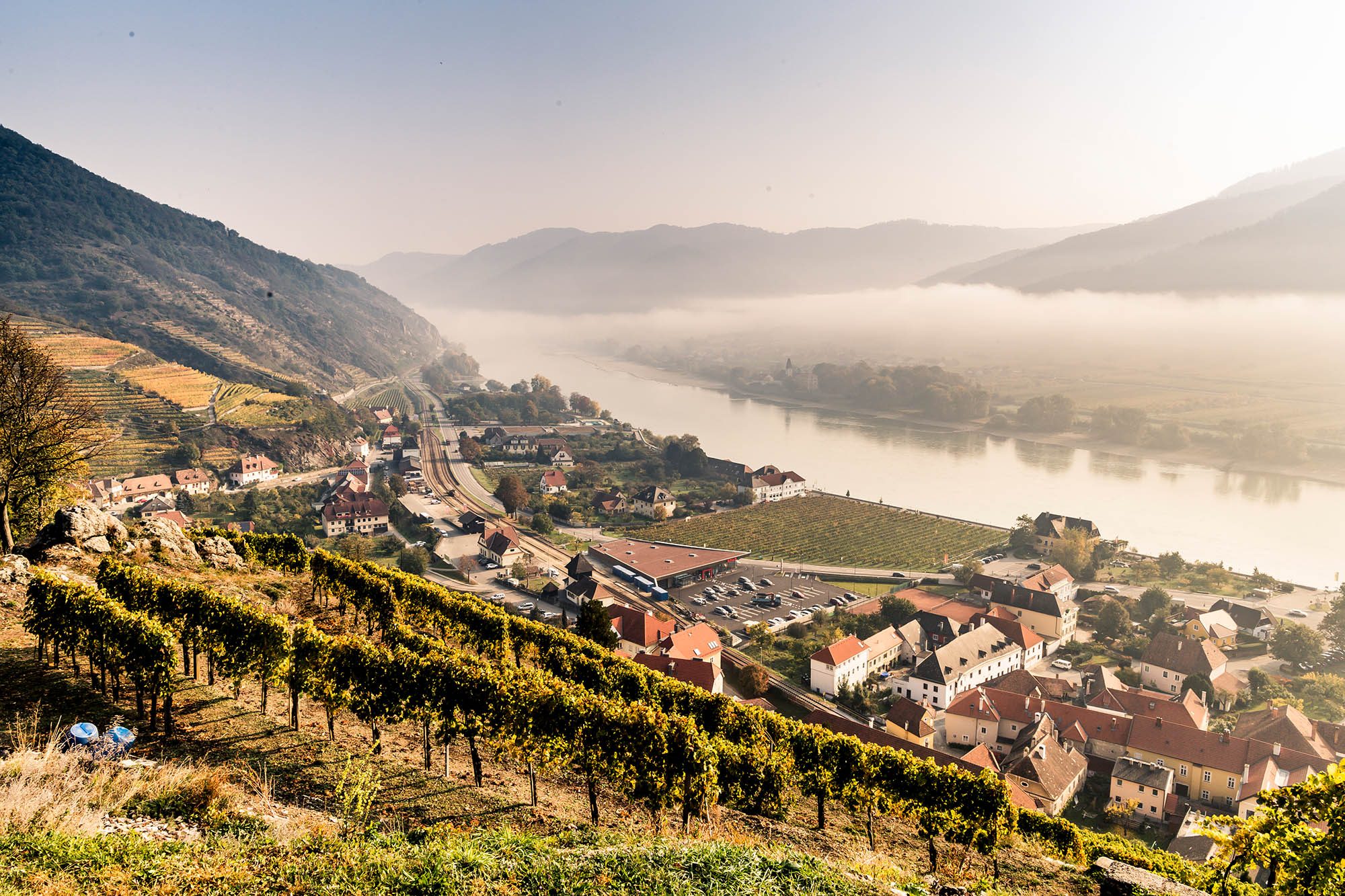 Wachau – Spitz an der Donau